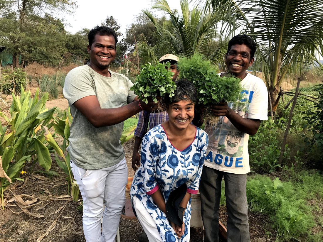 Harvest with farmers at the Vad demonstration farm